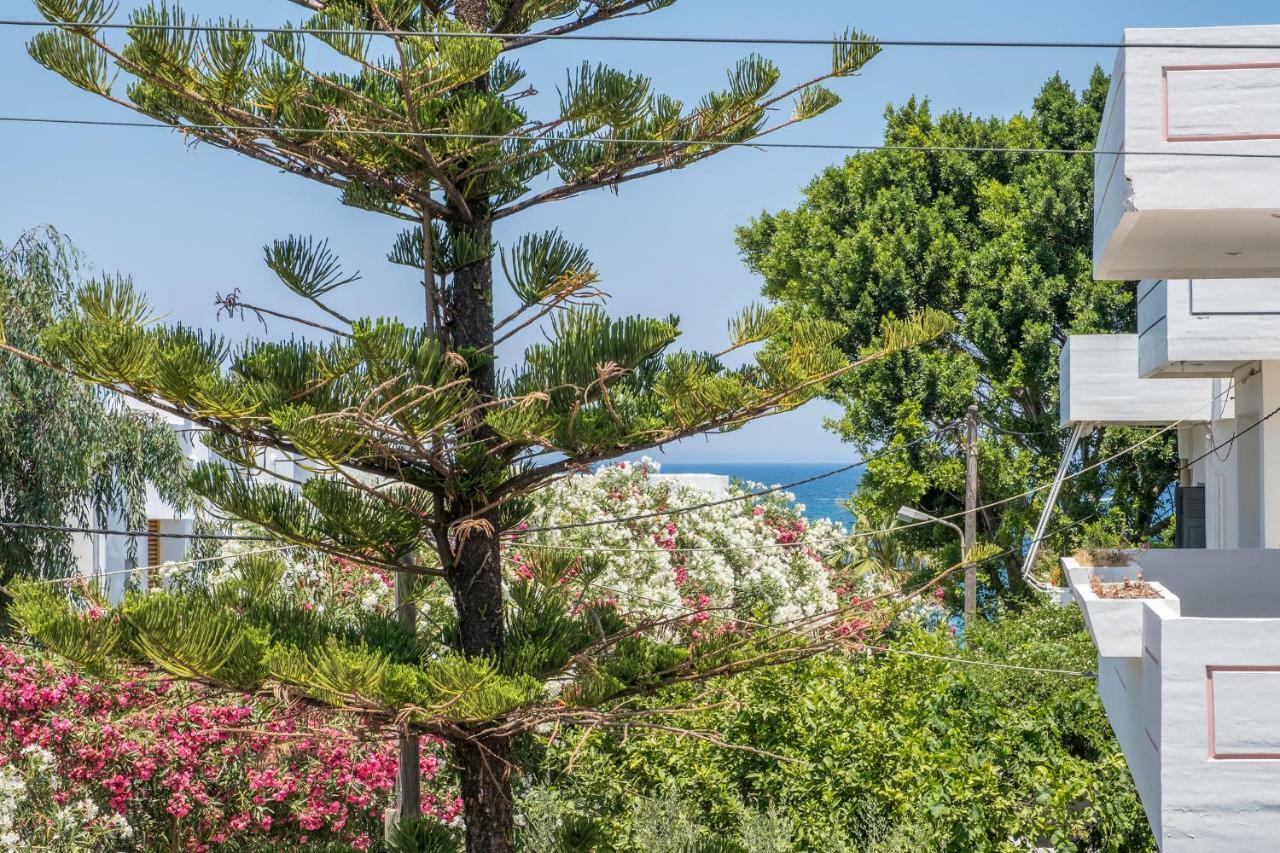 Villa Aeras Κάτω Δαράτσο Εξωτερικό φωτογραφία
