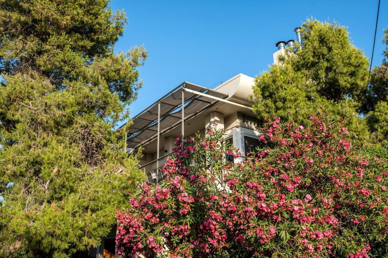 Villa Aeras Κάτω Δαράτσο Εξωτερικό φωτογραφία